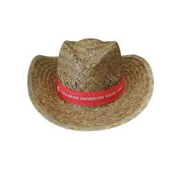 Sombrero de la Festa Major URV
